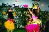 dance